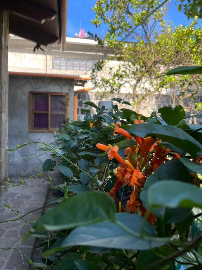 Casa Qatzij - Guest House, Lake Atitlan San Lucas Tolimán Dış mekan fotoğraf