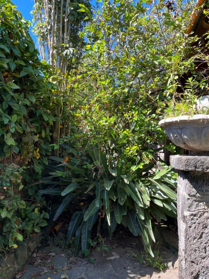 Casa Qatzij - Guest House, Lake Atitlan San Lucas Tolimán Dış mekan fotoğraf