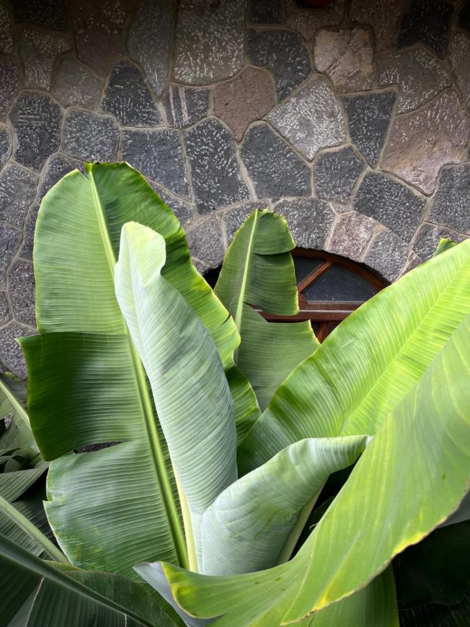 Casa Qatzij - Guest House, Lake Atitlan San Lucas Tolimán Dış mekan fotoğraf